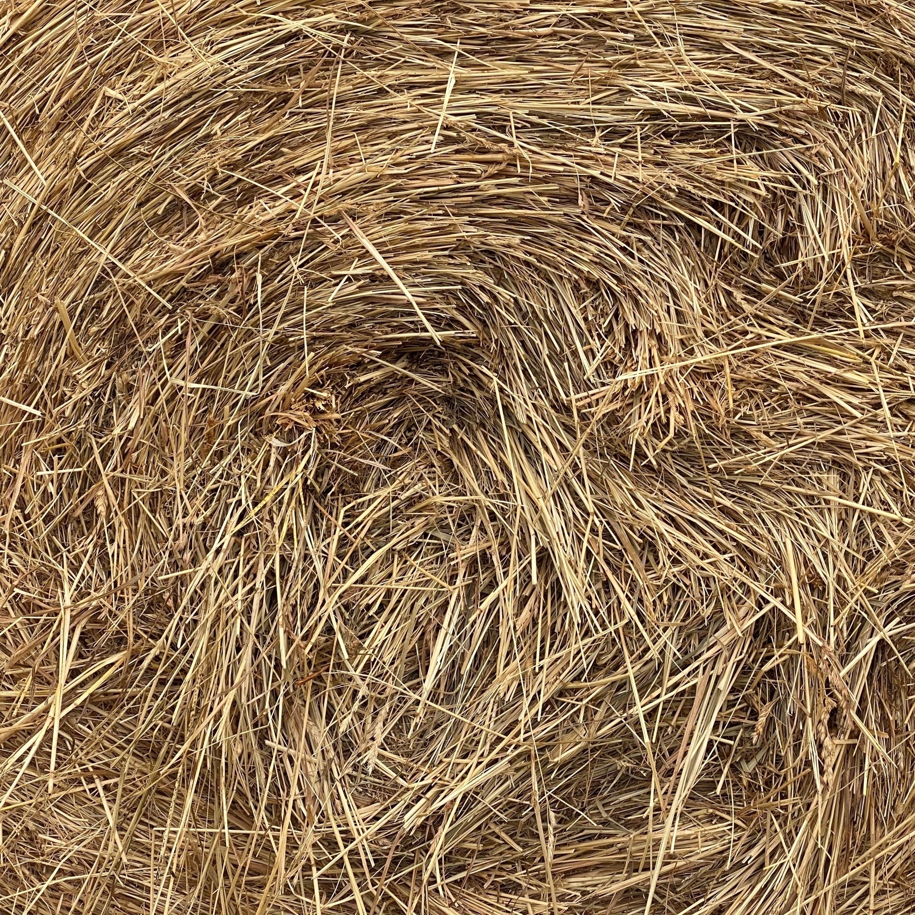 close-up of hay bale