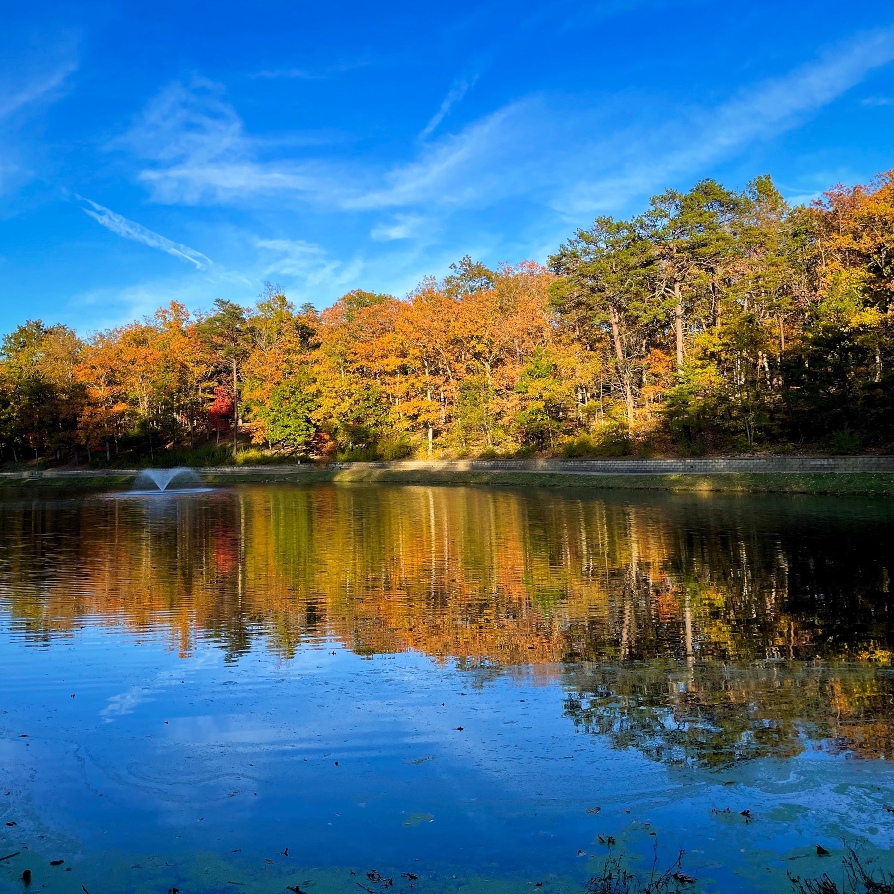 view of fall foliage beside a lake