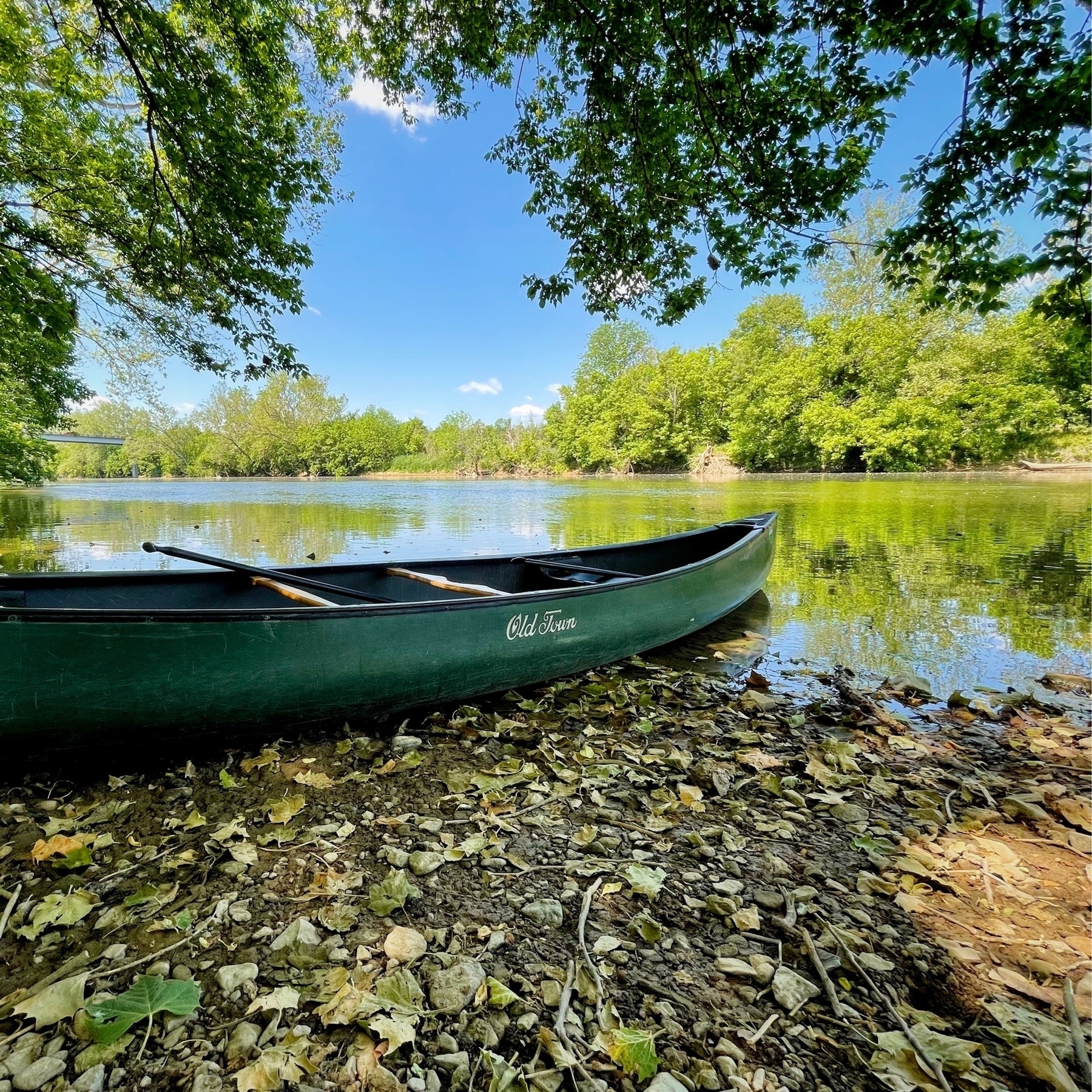 canoe on the water