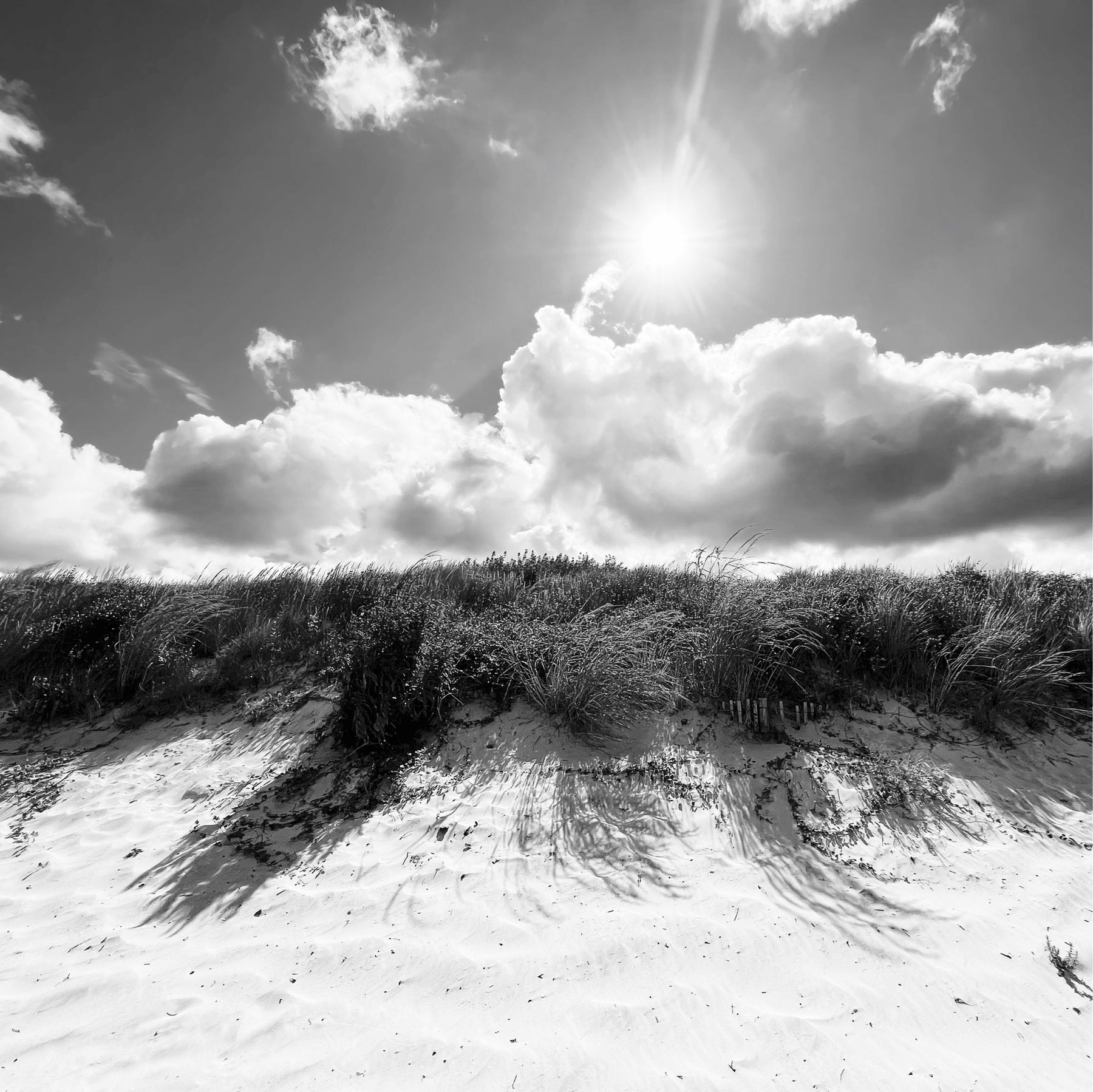 sand dunes in black and white